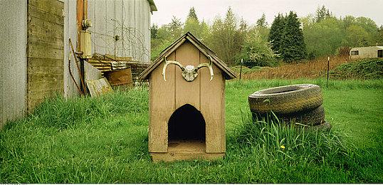 《幻兽帕鲁》推出万圣节新皮肤 计划全玩家免费发送